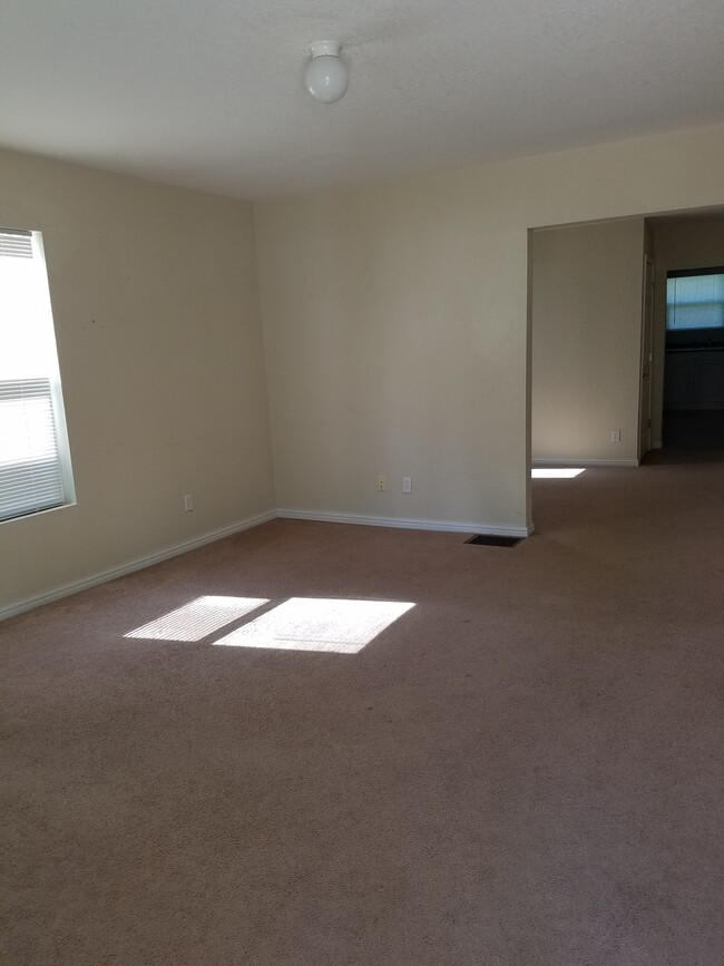 Large living room - 509 E Illinois St