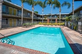 Located at 901 S Harbor Blvd in Santa Ana, California, this property showcases a classic Southern California courtyard-style layout that centers around a large, sparkling outdoor swimming pool. The two-story building wraps around a well-maintained central courtyard, creating an enclosed and community-oriented atmosphere. Tall, mature palm trees rise above the roofline, reinforcing the quintessential California aesthetic and providing natural shade throughout the grounds.

The exterior architecture features a mid-century influenced design with flat rooflines and open balconies accessible from upper-level units. Distinctive bold yellow and blue accent panels frame the entryways and railings, giving the property a lively, eye-catching character. Ground-level units face directly onto the pool area, separated by a metal perimeter fence that defines the pool deck zone.

The pool deck is generously sized and outfitted with lounge chairs, outdoor seating sets, and a shaded umbrella table — offering ample space for leisure and relaxation. Landscaped beds with low-maintenance shrubs and ornamental grasses line the walkways and building perimeter, adding greenery throughout. Stairways connect the ground level to the upper balcony walkways, ensuring ease of access across the property. Under the Southern California sun, this courtyard-centered property delivers an inviting, resort-like outdoor living experience.