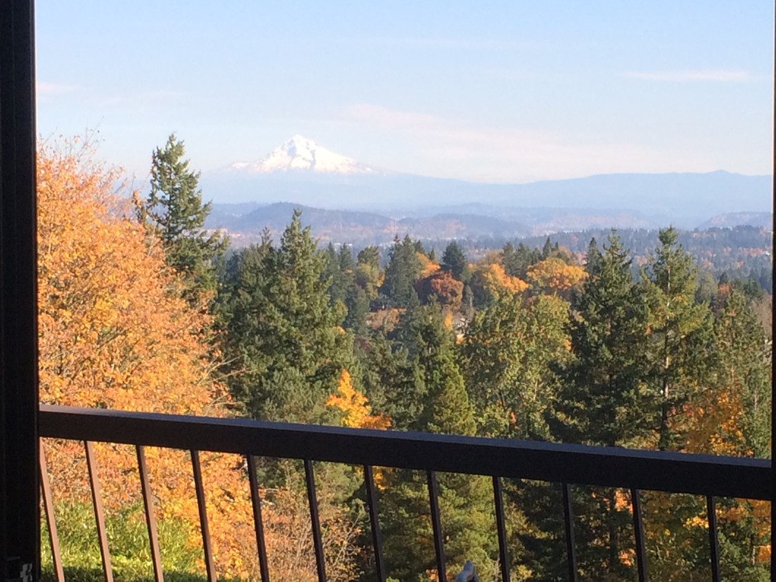 Gorgeous Relaxing Views - 45 Eagle Crest Dr