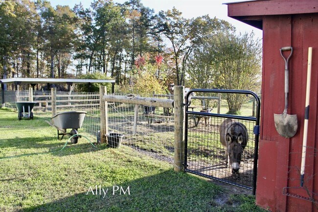 Building Photo - 16206 Madison Run Road