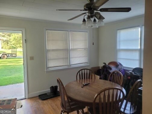 Foto del edificio - 185 Lenora Dr