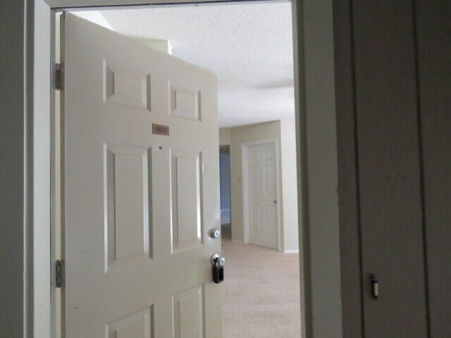 Foto principal - 3803 Chimney Ridge Pl