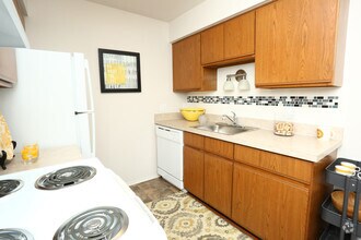 Interior Photo - The Trilogy Apartments