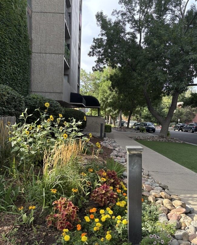 Close to Downtown Denverr - 1433 N Williams St