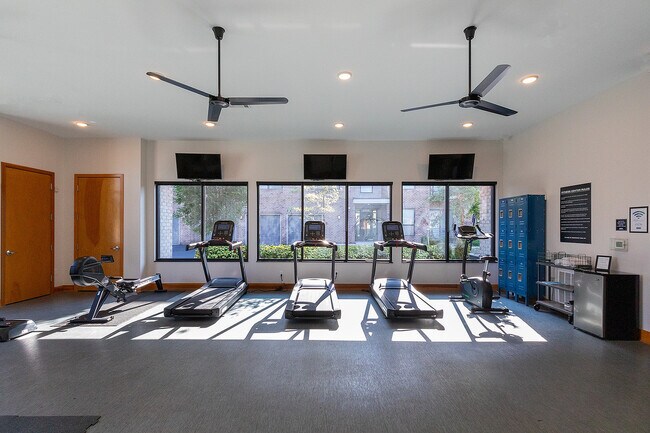 Gimnasio - Tuller Flats