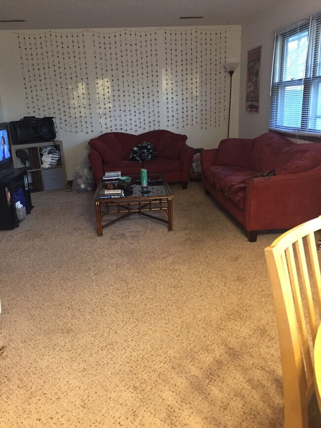 Living Room - 209 E 6th St