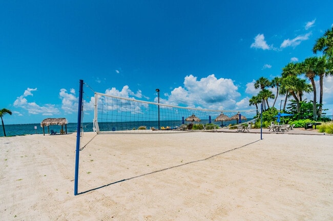 Foto del edificio - 2502 N Rocky Point Dr