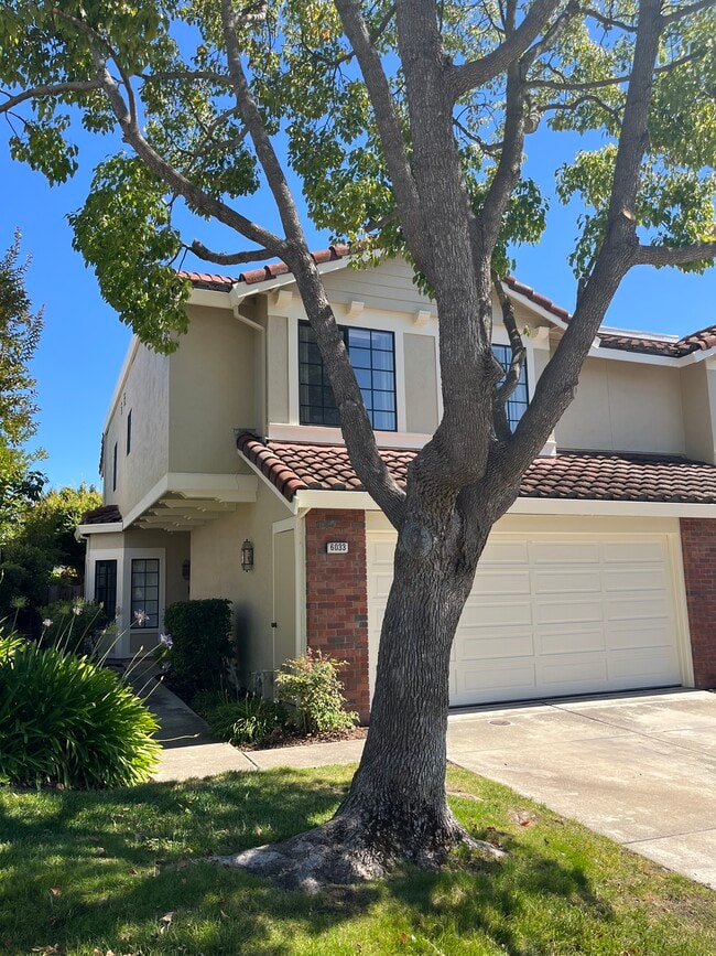 Building Photo - 6033 Mount Hamilton Ct
