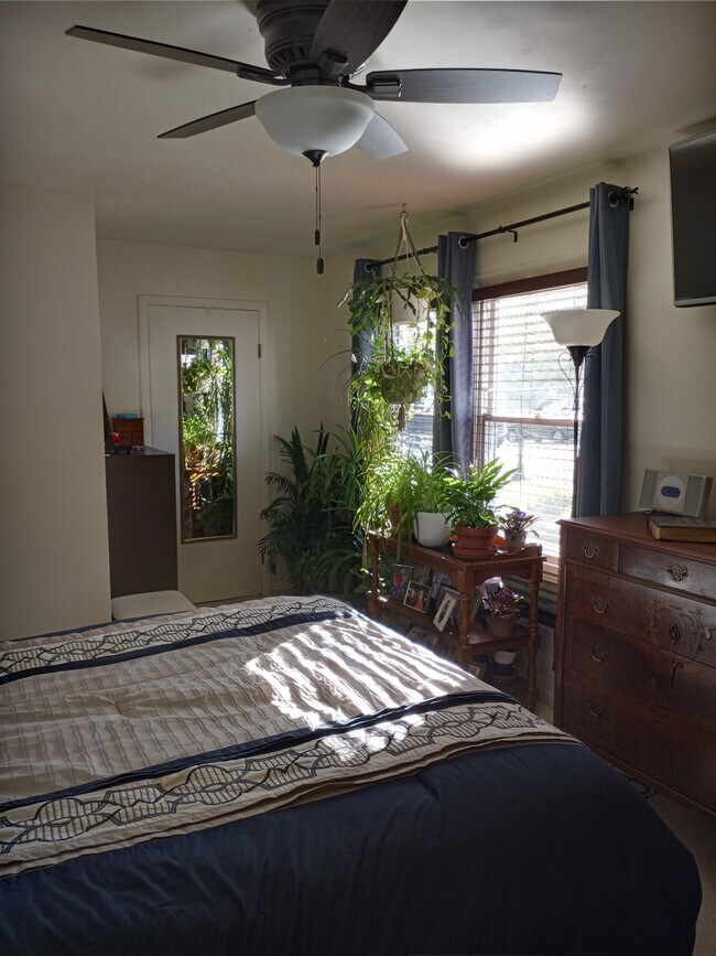 Building Photo - 457 Onyx Ct