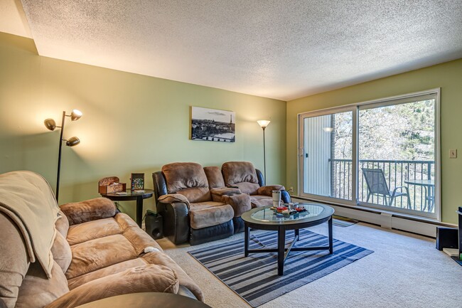 Living Room onto porth overlooking lake - 4860 Park Commons Dr