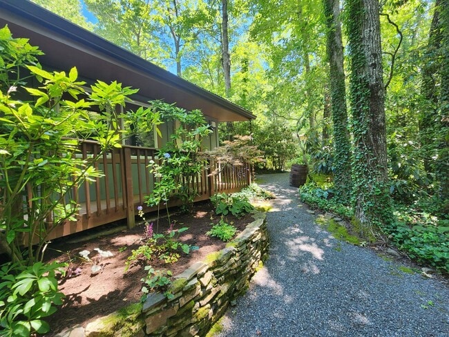 Building Photo - Black Mountain Cottage!