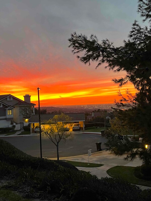 Foto del edificio - 1031 S Daybreak Ct