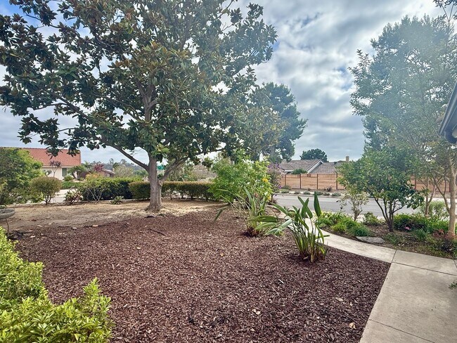 Foto del edificio - Remodeled Ranch Style Home in the Rancho P...