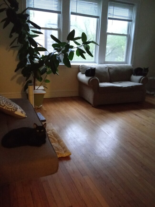 Foto del edificio - 3315 W Palmer St