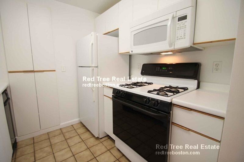 131 Sherman Rd, Chestnut Hill, MA 02467 Apartment for Rent in