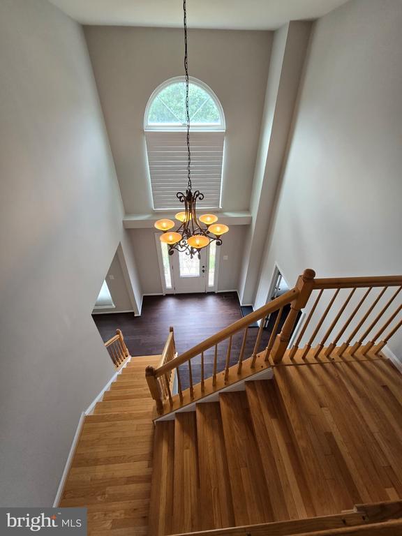 Building Photo - 20306 Baymeadow Ct