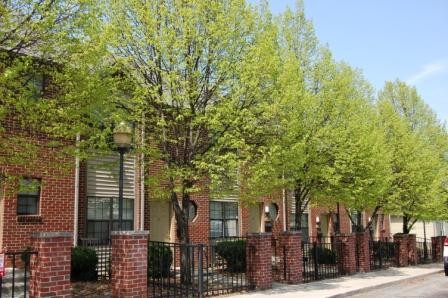 Primary Photo - Ohio Street TownHomes