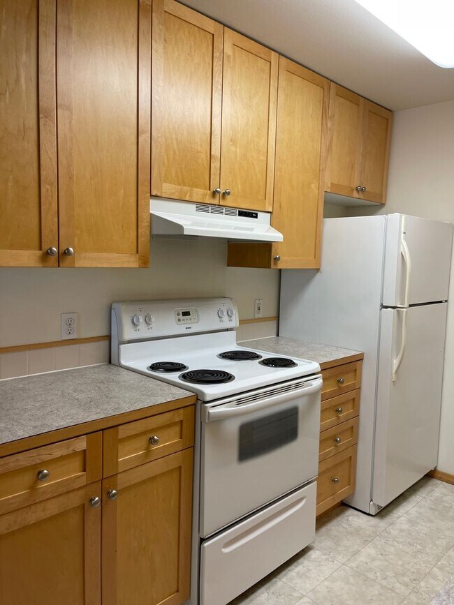 Building Photo - Sunny and Spacious 1 bedroom, 1 bathroom u...