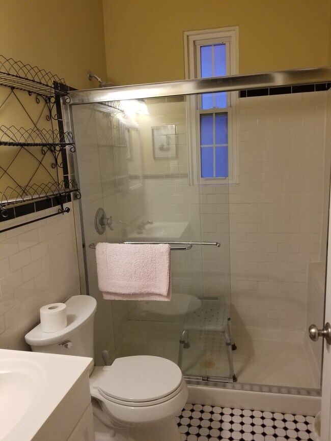 Main Bath - 101 W 39th St