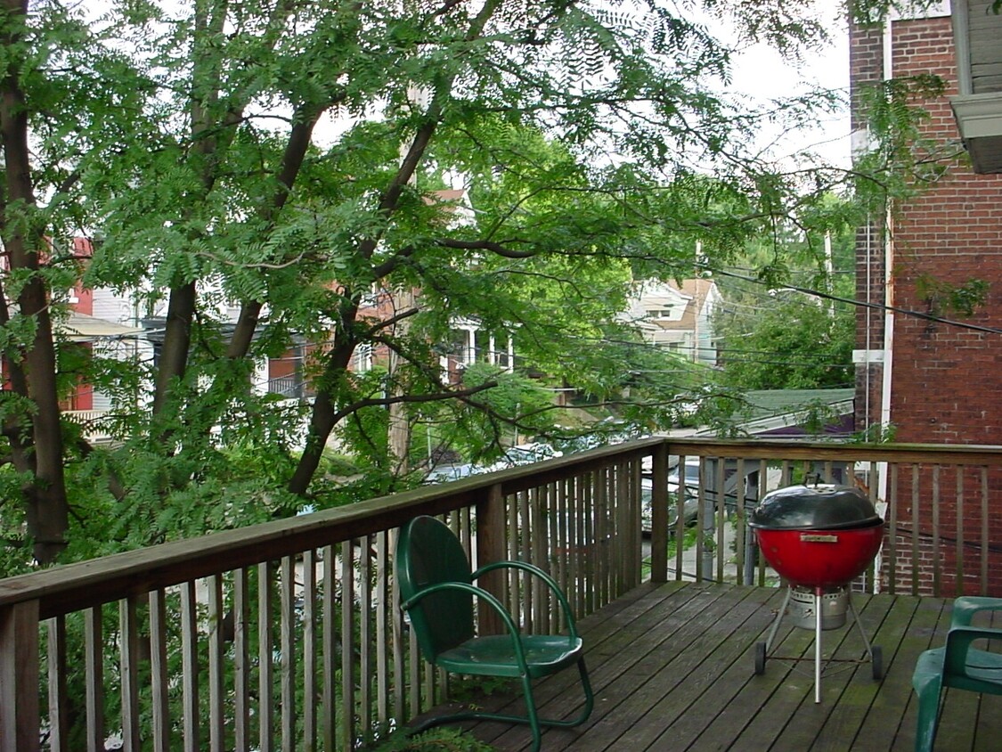 Primary Photo - 217 Bosley St
