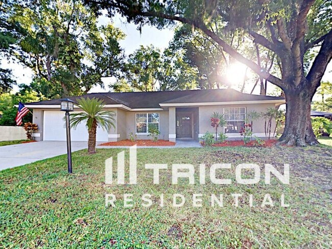 Building Photo - 19203 Sunlake Boulevard Lutz FL