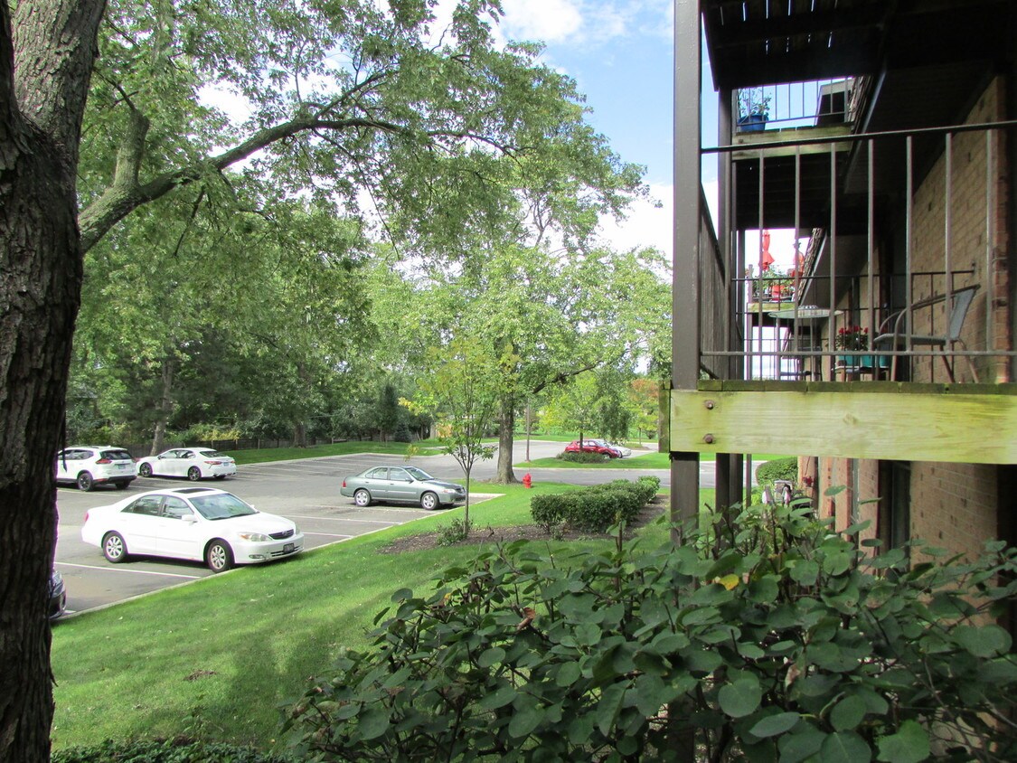 Primary Photo - 4 Oak Creek Dr