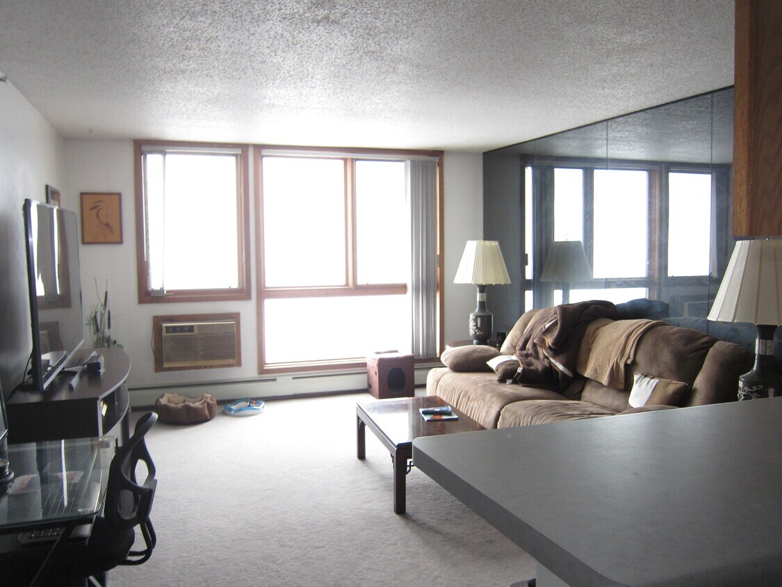 433 S 7th St Unit 2219, Minneapolis, MN 55415 Condo for Rent in Minneapolis, MN