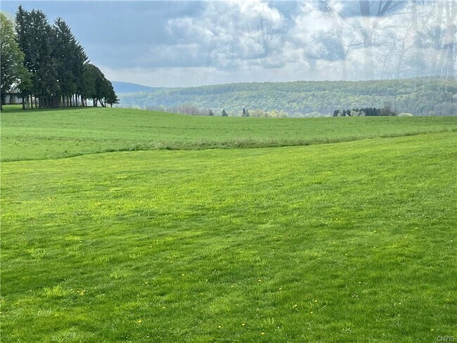 Land view - 2010 W Genesee Tpke
