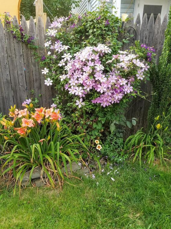 Building Photo - 270 Bates St.