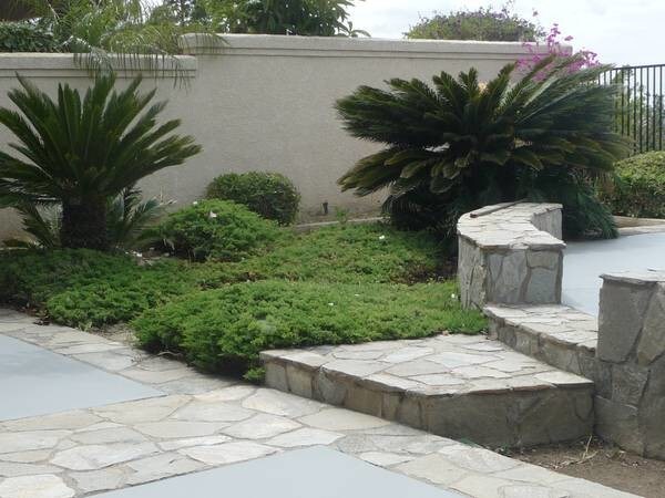 Foto del edificio - 779 S Ruby Ln