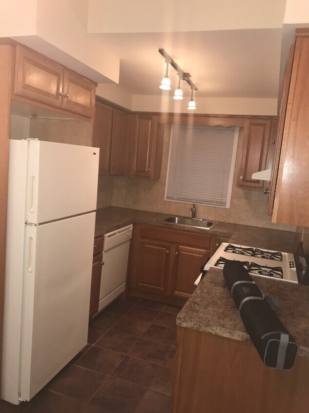 Kitchen - 59 Harrigan St