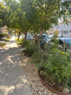 Building Photo - 429 N Orange Grove Ave