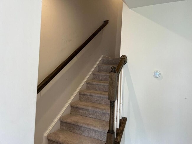 Building Photo - 1007 Romeria Dr