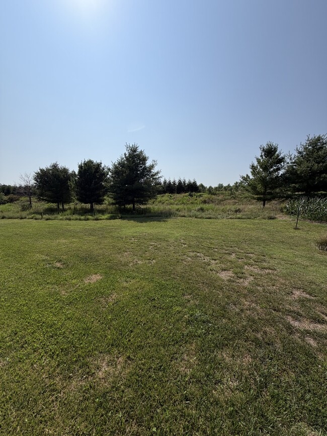 Building Photo - 9518 Royal Tern Dr