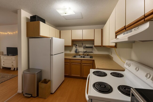 Photo - 66 Hungerford Terrace Apartment