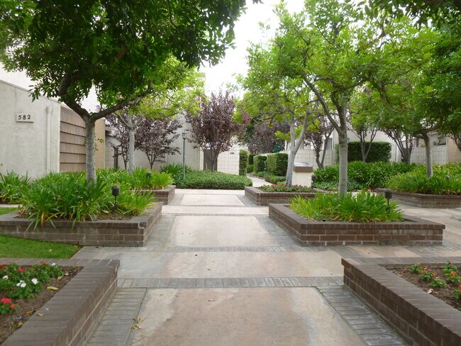 Dentro del complejo - 584 W Huntington Dr