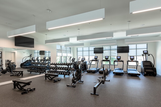 Gimnasio - Park Monroe
