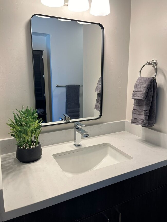 Interior Photo - La Vida at 1100 River