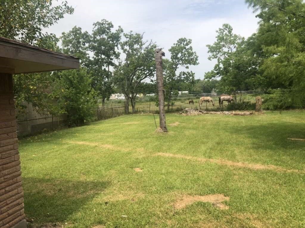 Primary Photo - 306 Tennyson St