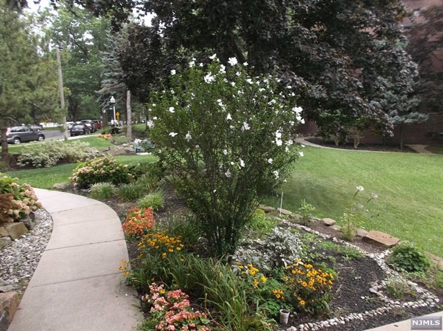 Foto del edificio - 3091 Edwin Ave