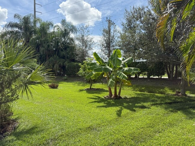 Foto del edificio - 1203 Scarlet Oak Cir