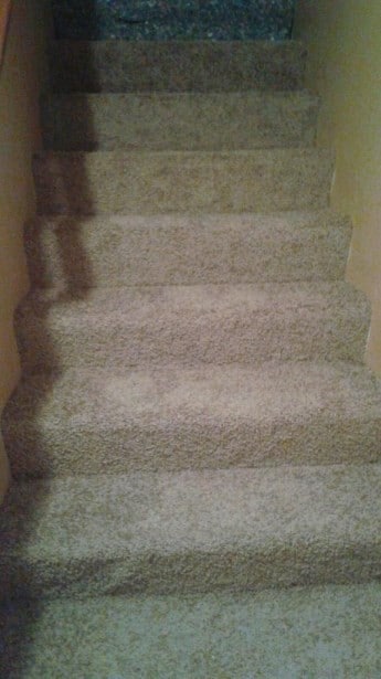 Steps leading up to 2nd Floor - 2038 Charter Manor