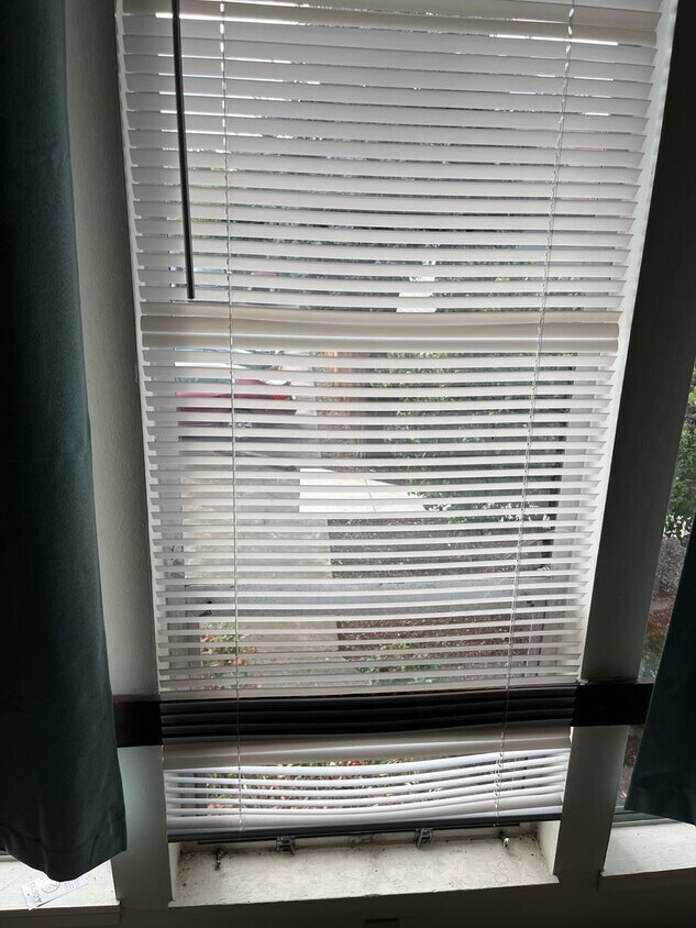 Primary Photo - Newly remodeled Condo in great location