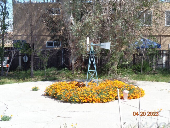 Foto del edificio - Remodeled Guest House in Quartz Hill All Utilities Included