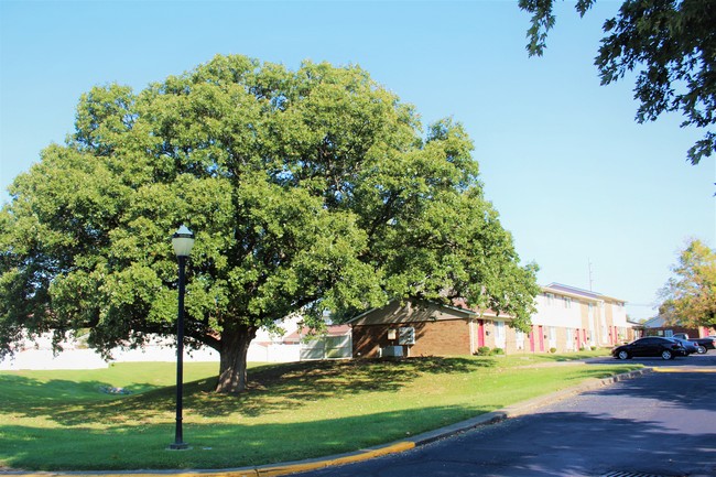 Building Photo - Grand Oak Community