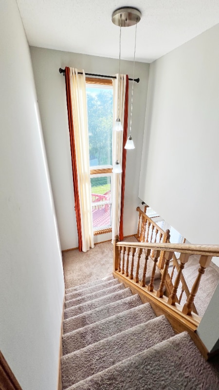 Building Photo - 13679 Essex Ct