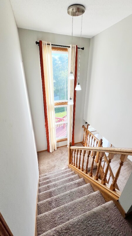 Foto del edificio - 13679 Essex Ct
