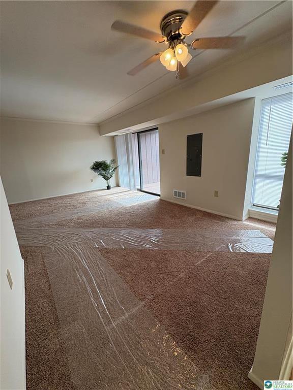 Foto del edificio - 911 George St