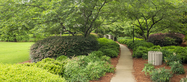 Foto del edificio - MAA Spring Creek