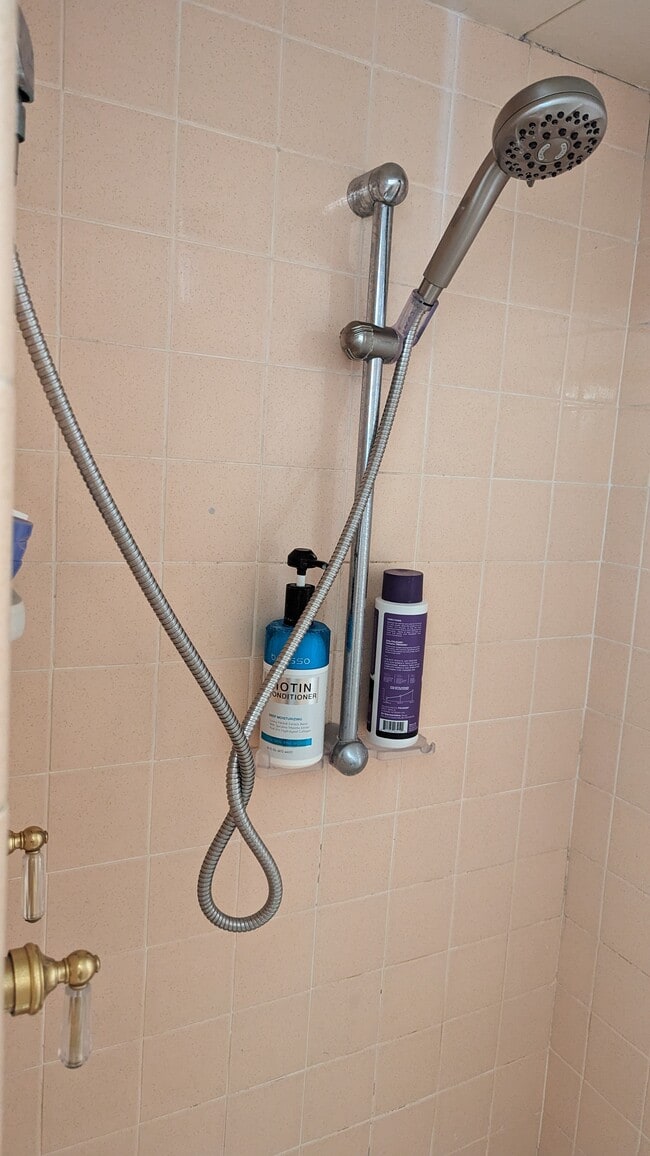 Inside shower - 2565 Fairfield Pl